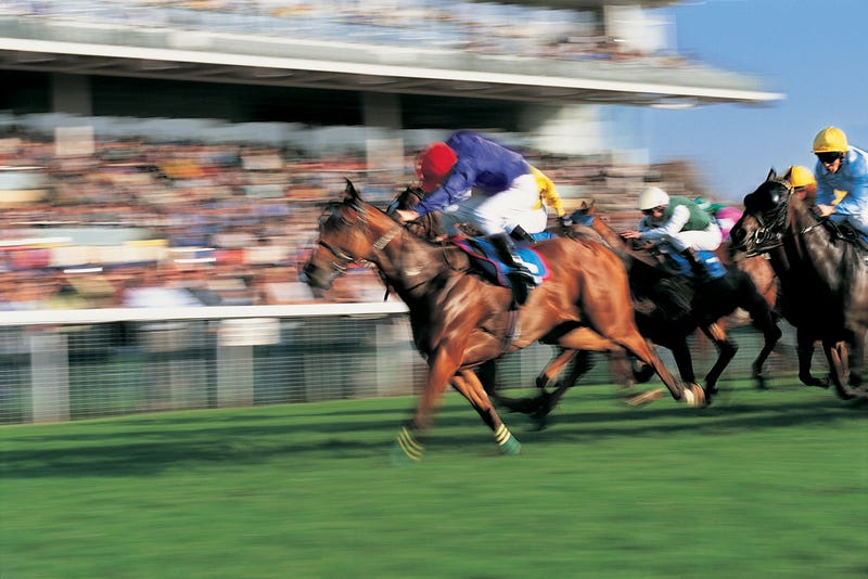 Horse Race - stock photo