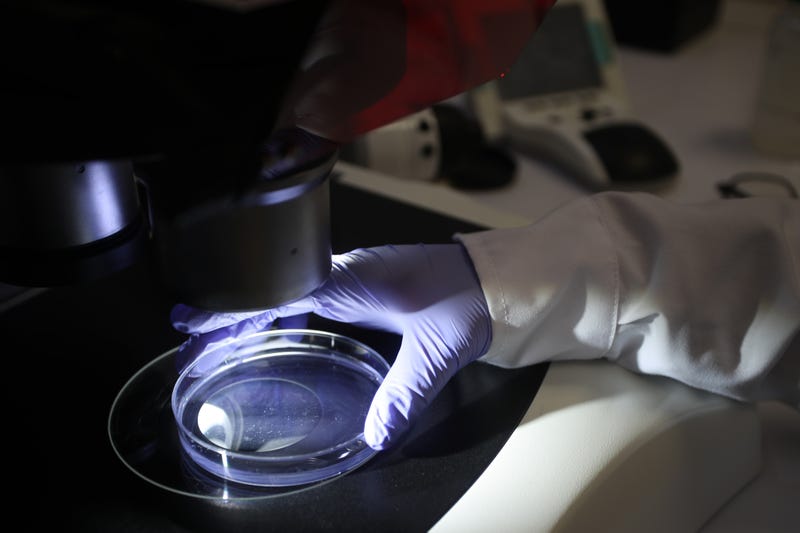 science research