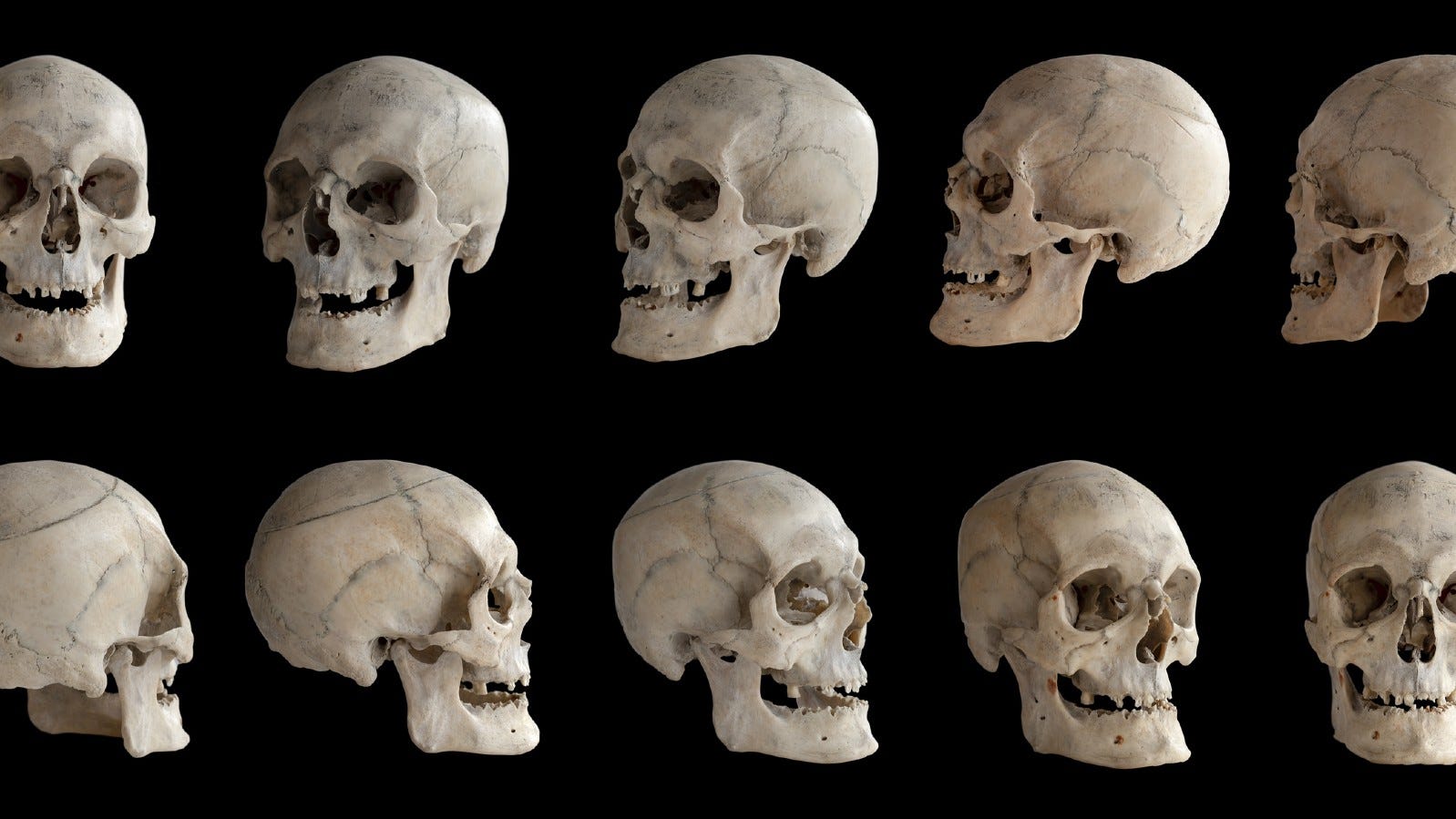 Skulls of 18th century Black Philadelphians collected at Penn Museum to be buried