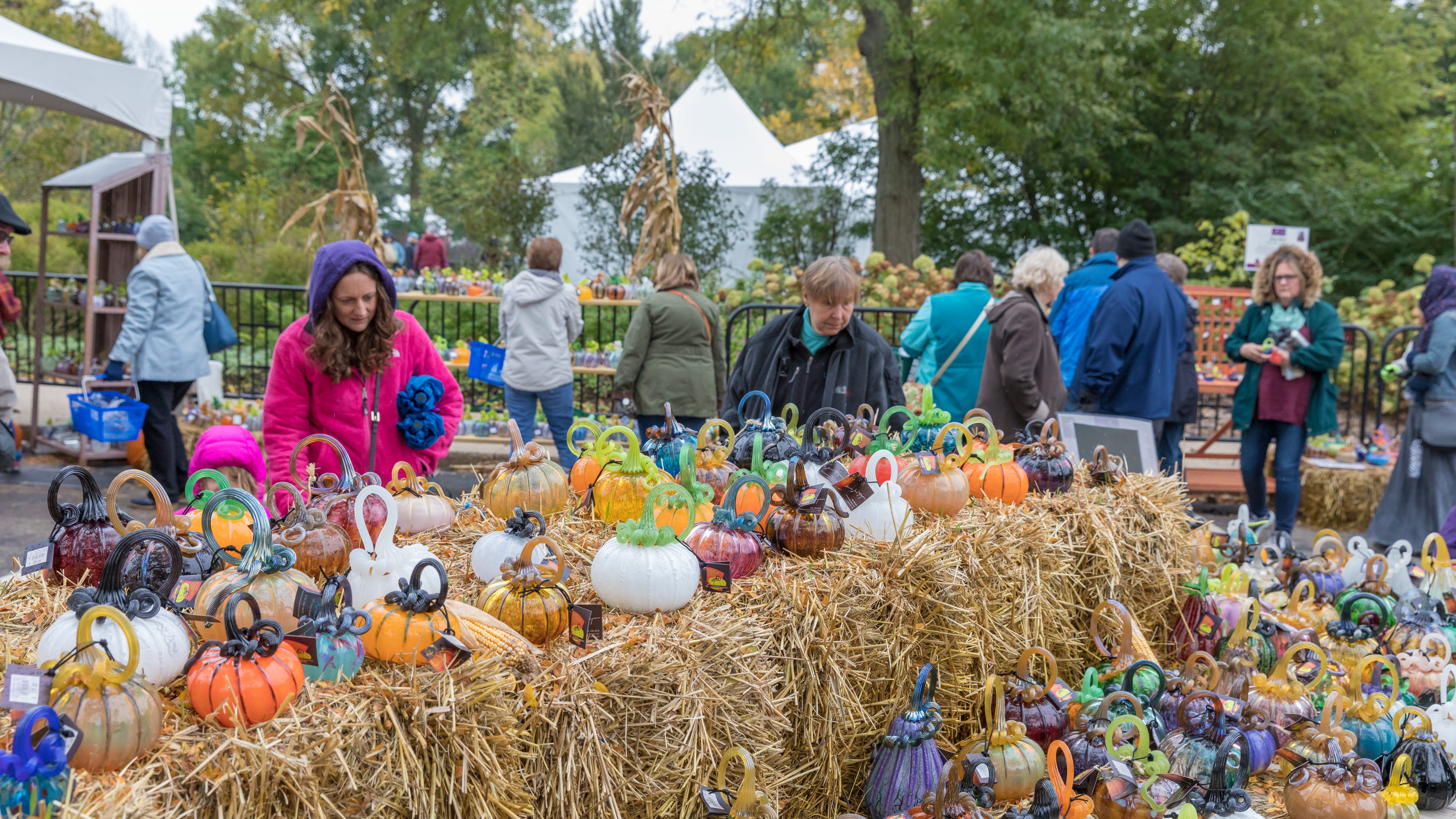 7,000 pieces of glass art on display at Morton Arboretum’s ‘Glass Pumpkin Patch’