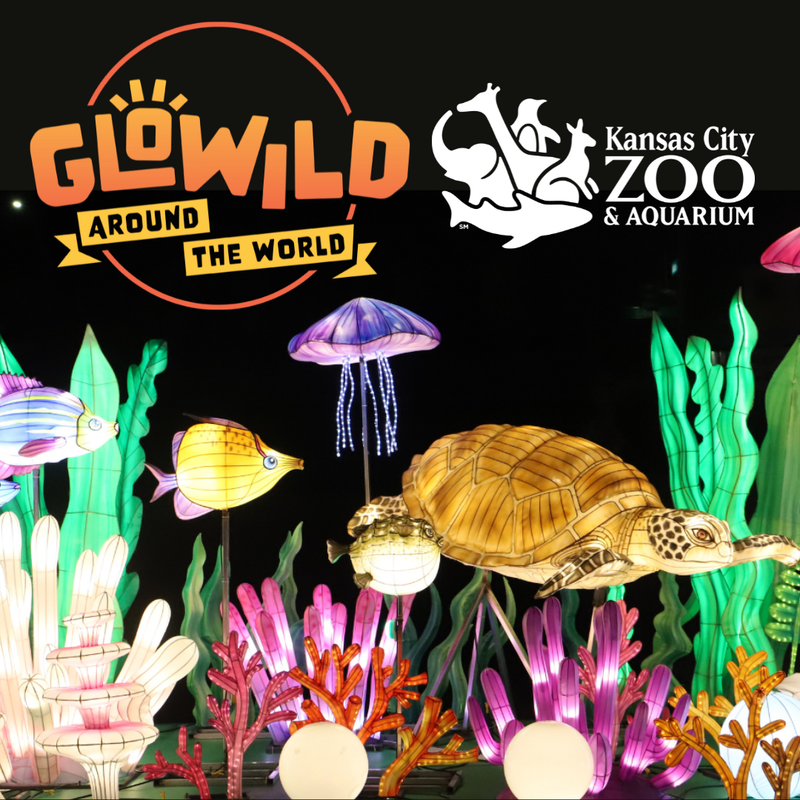GloWild Around The World