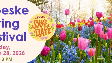 Goeske Spring Festival