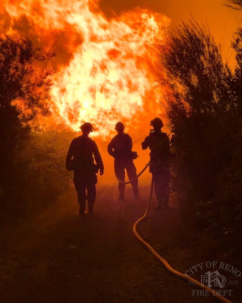 Firefighters battle the Gold Rush Fire burning near Reno.