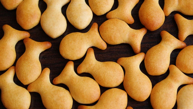 Dunkin’ teams with Goldfish for new Pumpkin Spice Grahams