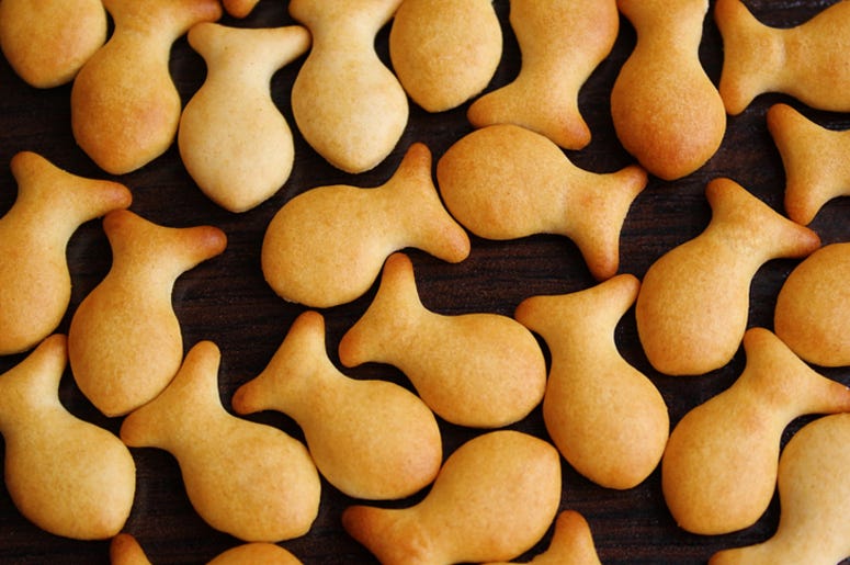 Goldfish