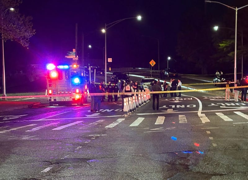The driver allegedly drove at officers and was shot