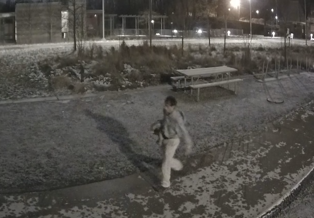 Frick Park Vandal suspect