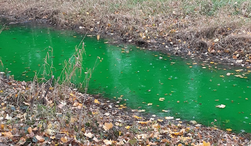 Creek turns green in Clinton Township
