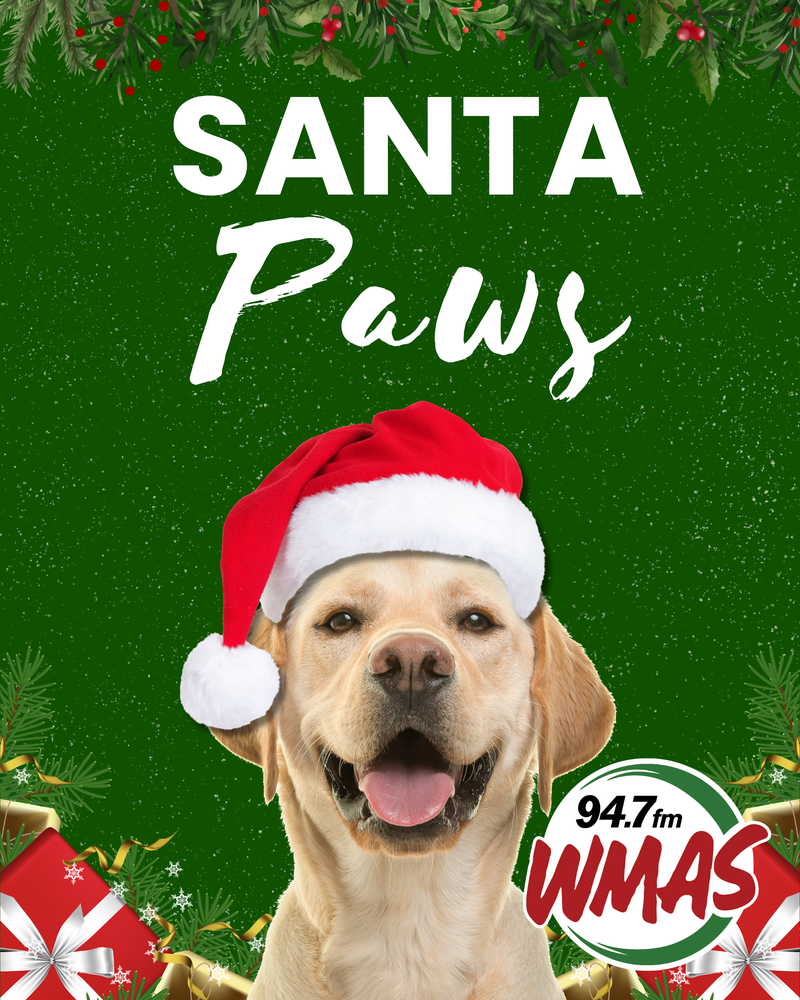 Santa Paws