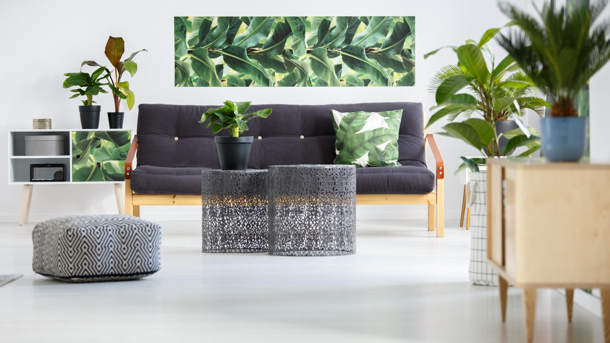 A Guide to Cheaper Green Living
