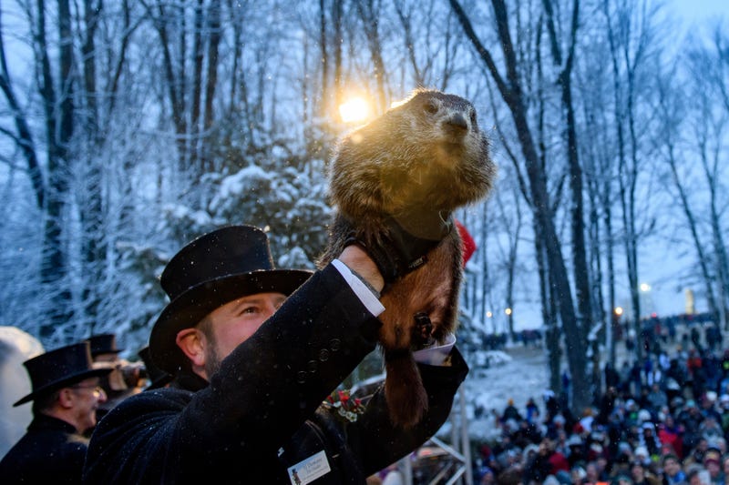 Punxsutawney Phil