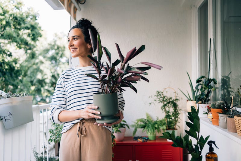 Grow Your Own Wellness with Plant Therapy | Bee Inspired