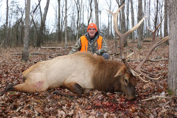 elk hunt