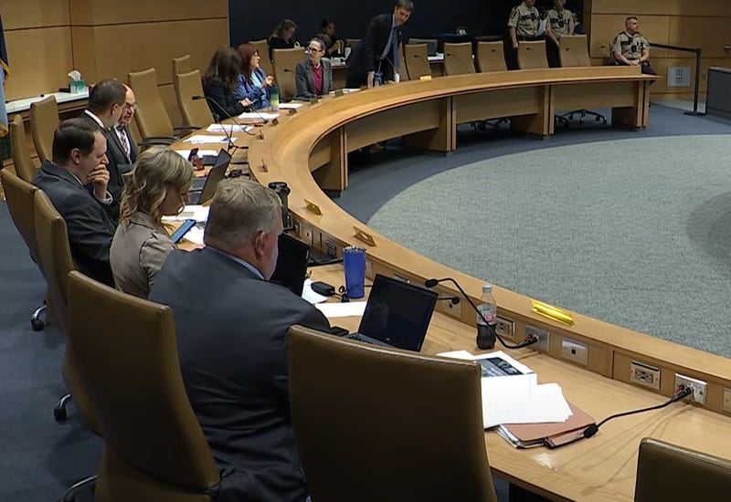 The Senate Gun Violence Prevention Working Group, an 11-person committee gathering ahead of a potential special legislative session to address gun violence.