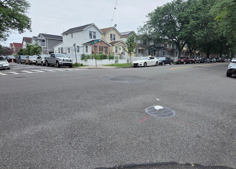 The dog was set on fire at 128th Street and 116th Avenue in South Ozone Park