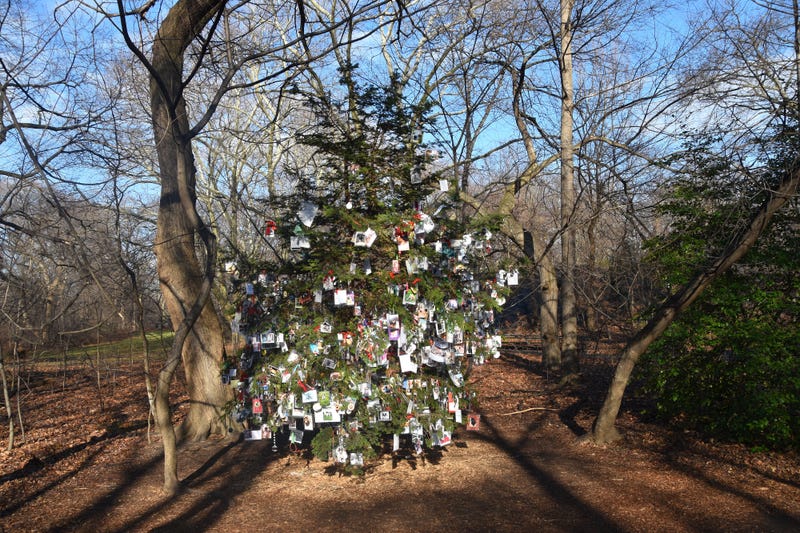 Since the mid-1980s, New Yorkers have been posting photos and tributes to their pets on the tree, which was hidden away in the Ramble section of the park