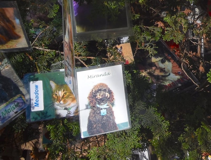 The tree included touching tributes to late pets
