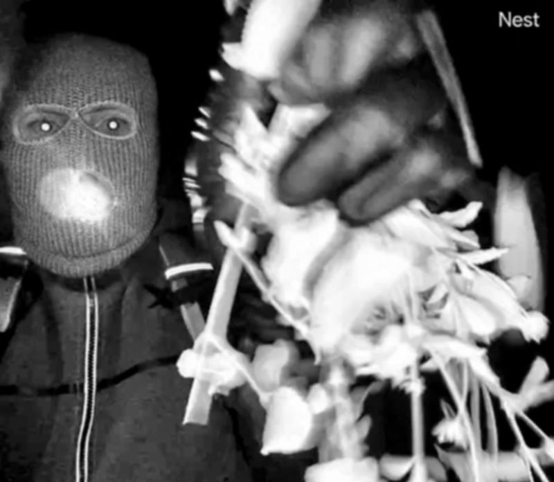 Authorities searching for the mother of “Today” show host Savannah Guthrie have not identified any suspects of persons of interest. FBI Director Kash Patel posted the images on X