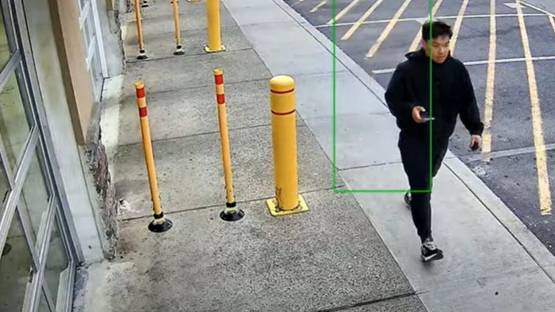 surveillance