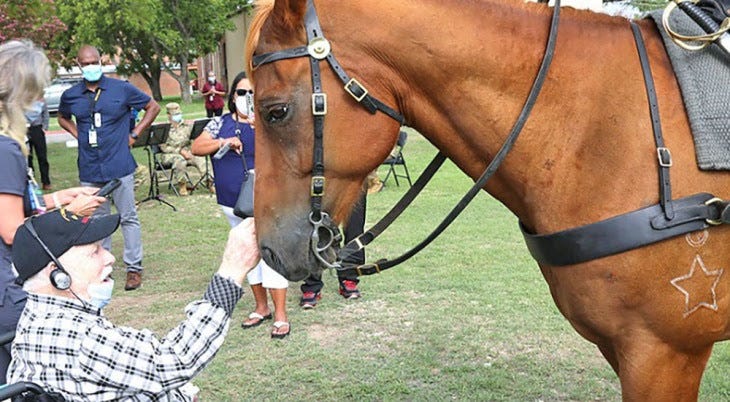 HORSECOVER