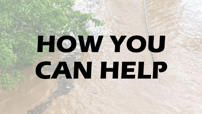 How You Can Help