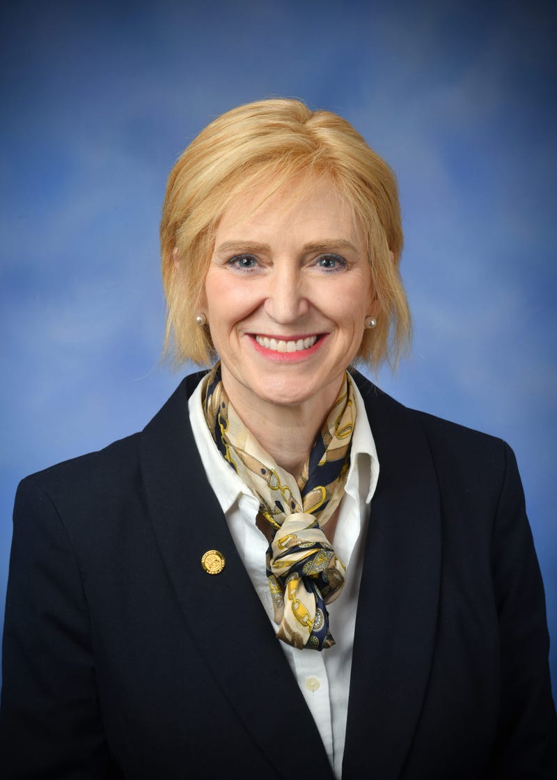 State Representative Andrea Schroeder