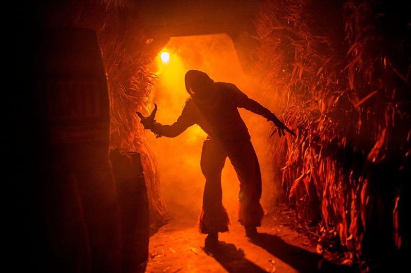 Photo of haunted maze at Cedar Point's HalloWeekends
