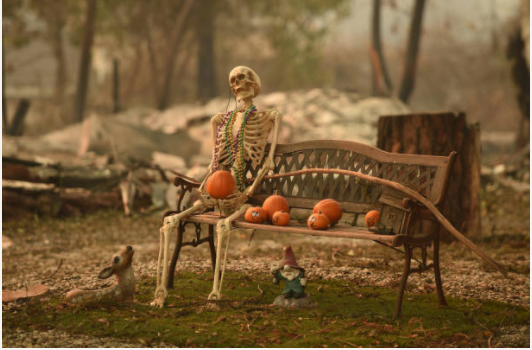 Celebrating Halloween in a Pandemic: Saftey First!