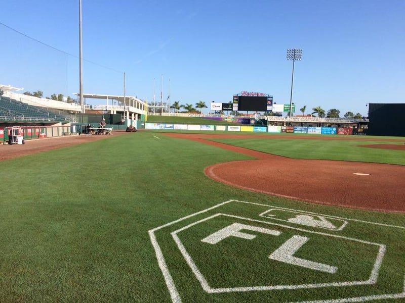 Twins Spring Training