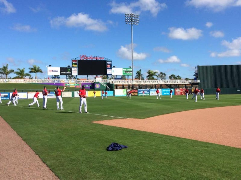 Spring Training, Twins