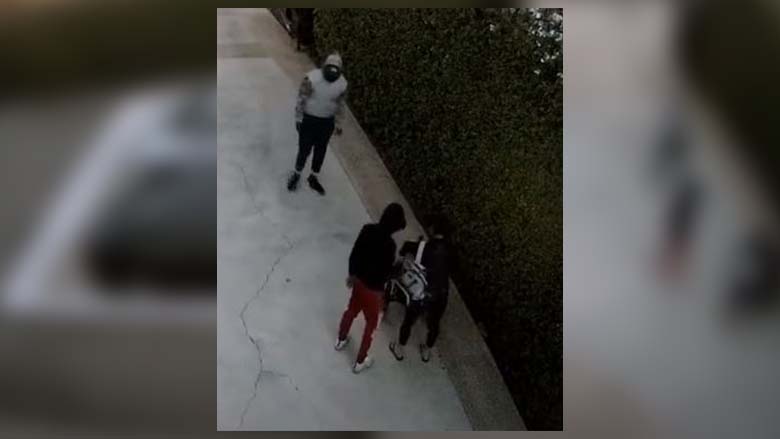 VIDEO: LAPD searching for men who followed a woman and baby home to rob them