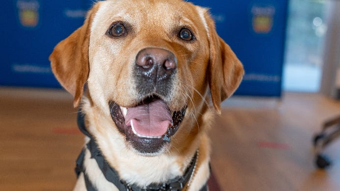 First-ever electronic device sniffing dog joins PD