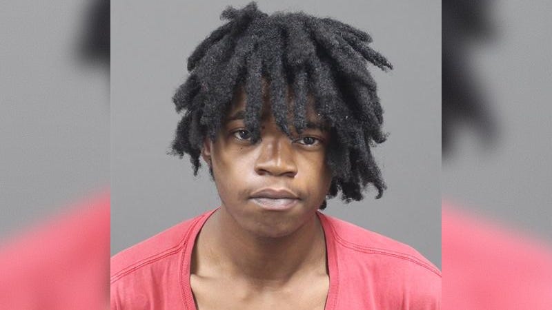 Harper Woods teen charged with first-degree murder for shooting his mother and her boyfriend; officers found him hiding in basement with gun to his head