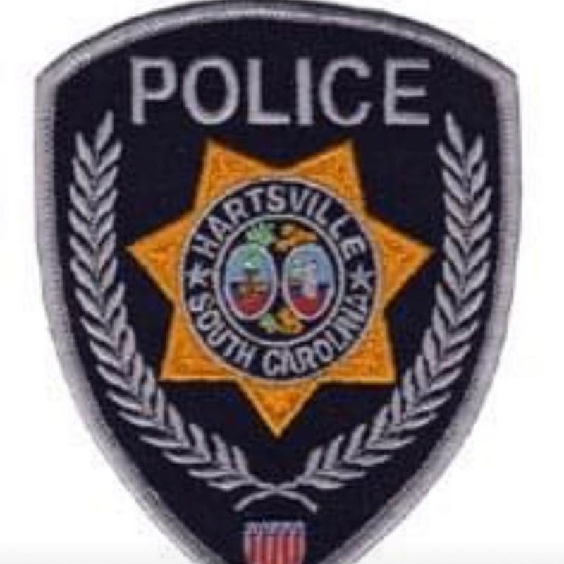 Pee Dee man sentenced to 20 years