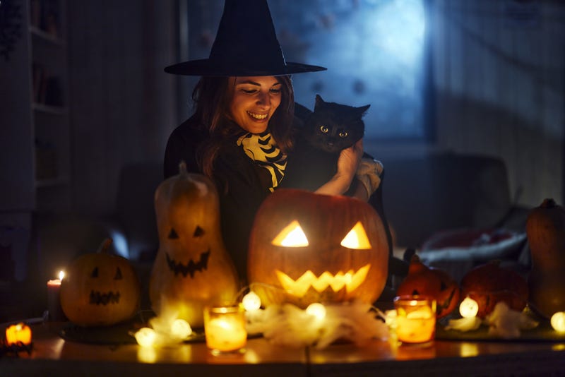 Haunted House, Healthy Heart: How Scares Can Be Good for You | Bee Well