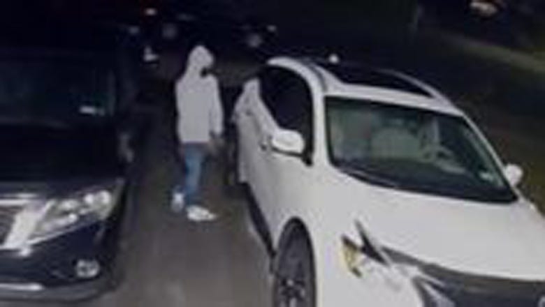 Hauppauge car thefts