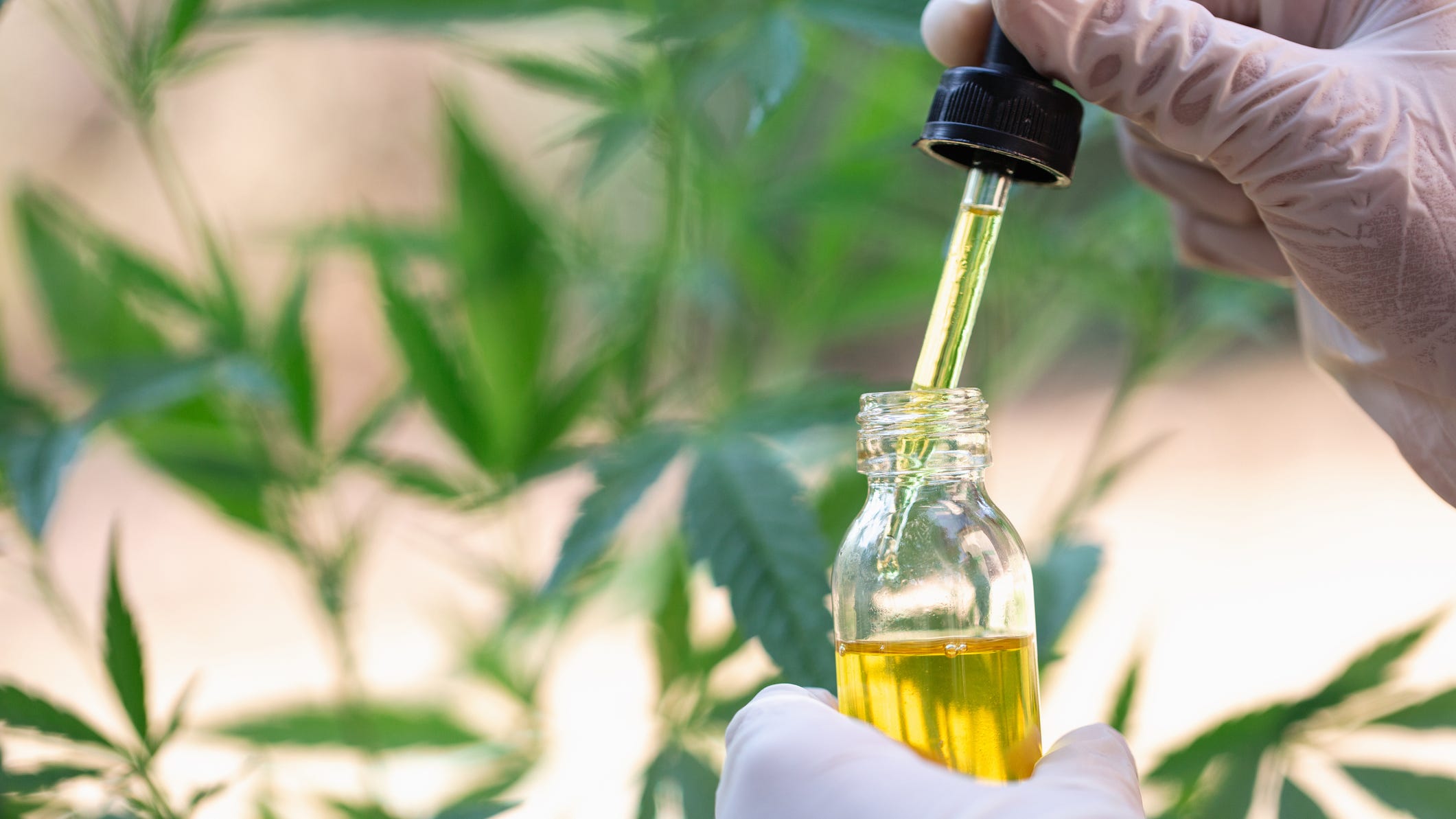 Proposed state hemp ban gains ground as experts weigh in