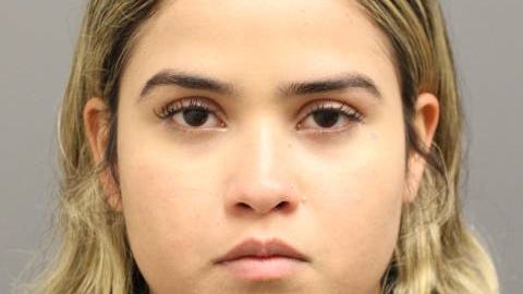 Woman pleads guilty to striking mother of 5 in 2022 fatal hit-and-run, trying to hide evidence on LI