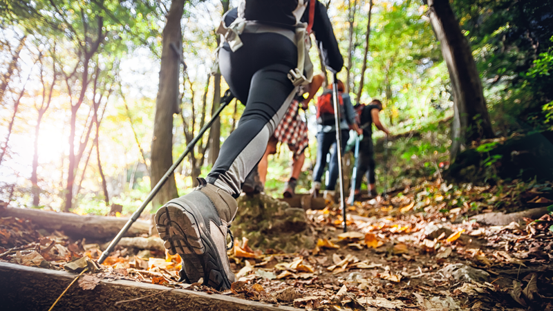 Hiking Trail