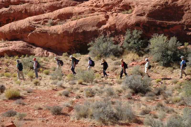 A group of people hiking through a Nevada park