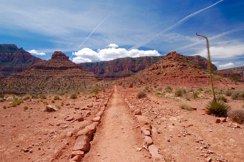 A desert hiking trail
