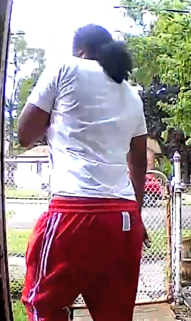 Home invasion suspect