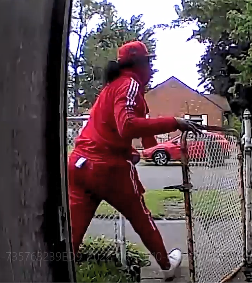 Home invasion suspect