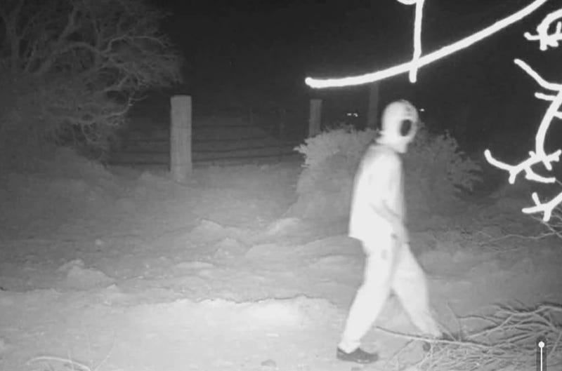 Surveillance video of man wanted for shooting horses
