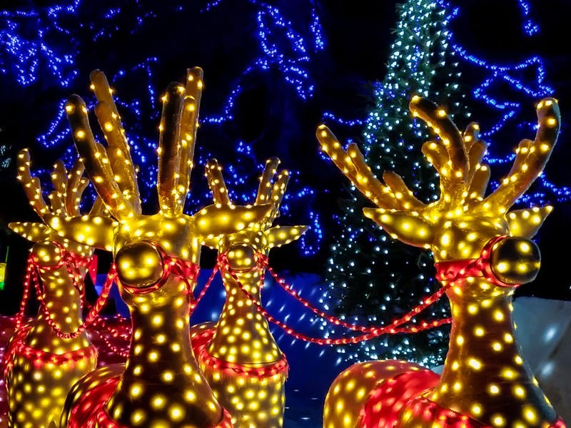 Houston Zoo Lights