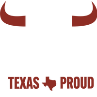 100.3 The Bull logo