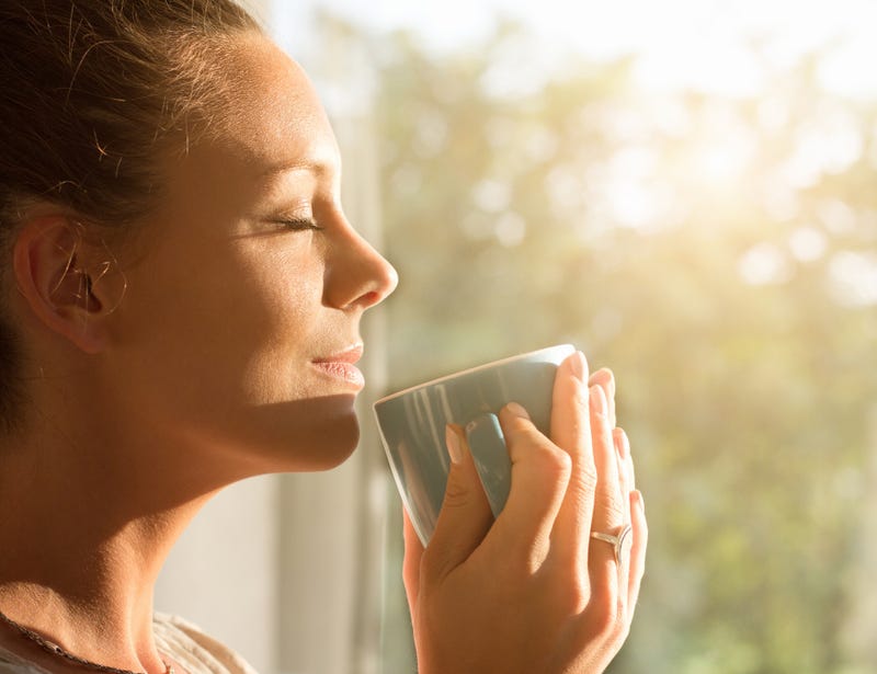 How to Support Your Immune System with Springtime Herbs and Teas | Bee Well