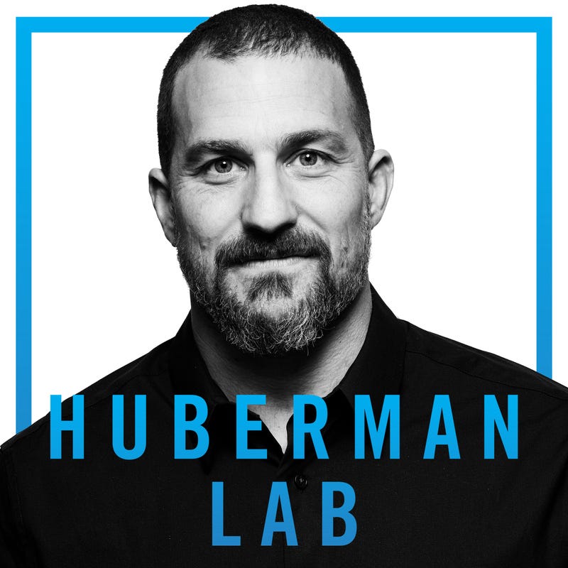 'Huberman Lab' podcast
