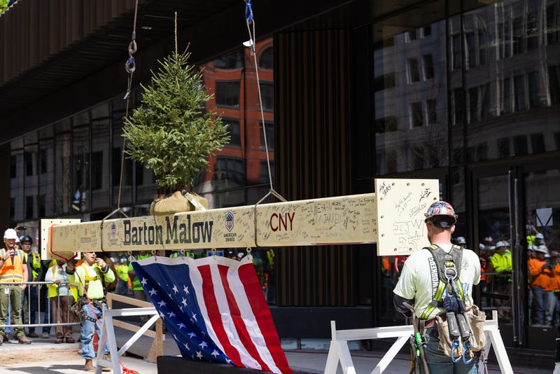 Pine tree and U.S. flag on final steel beam of Hudson's tower