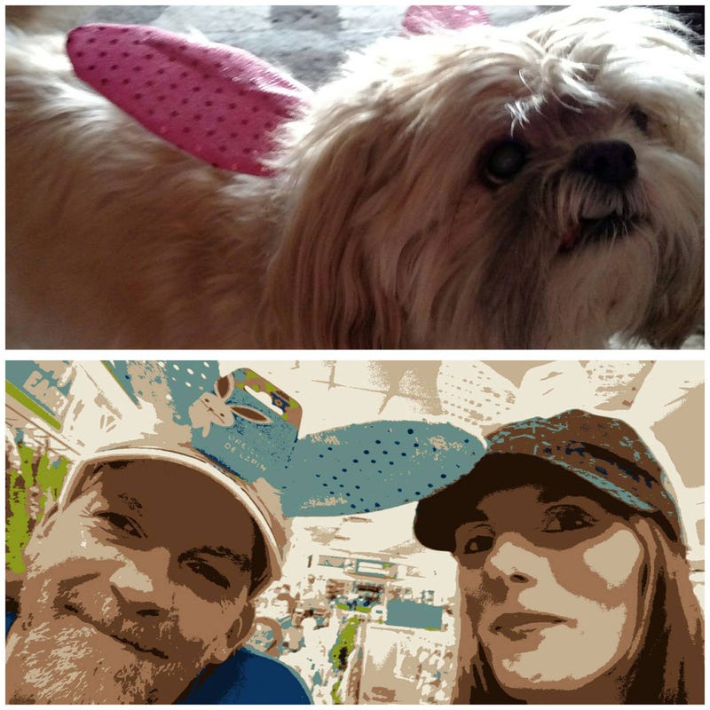 Huey (RIP) Rockin' the Rabbit ears in 2017 / Honey Ted & Heather too!